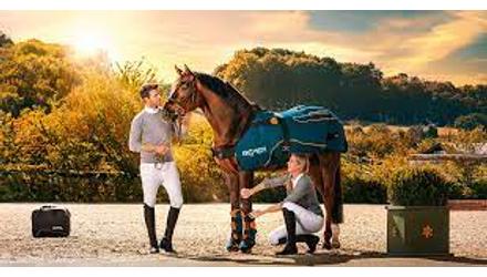 Az új BEMER HORSE-SET®