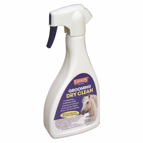 Dry Clean – Száraz tisztító spray 500 ml
