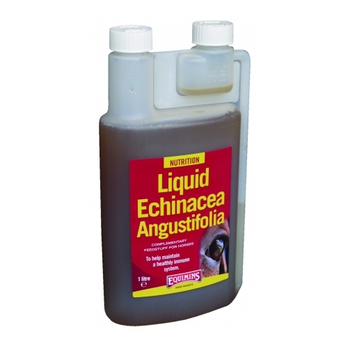 Echinacea Herb Liquid – Kasvirág immunerősítő oldat 1 liter