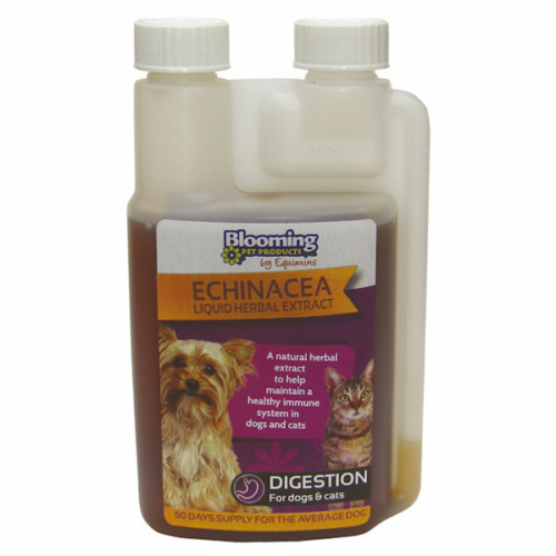 BP Echinacea - Kasvirág immunerősítő oldat kutyáknak és macskáknak
